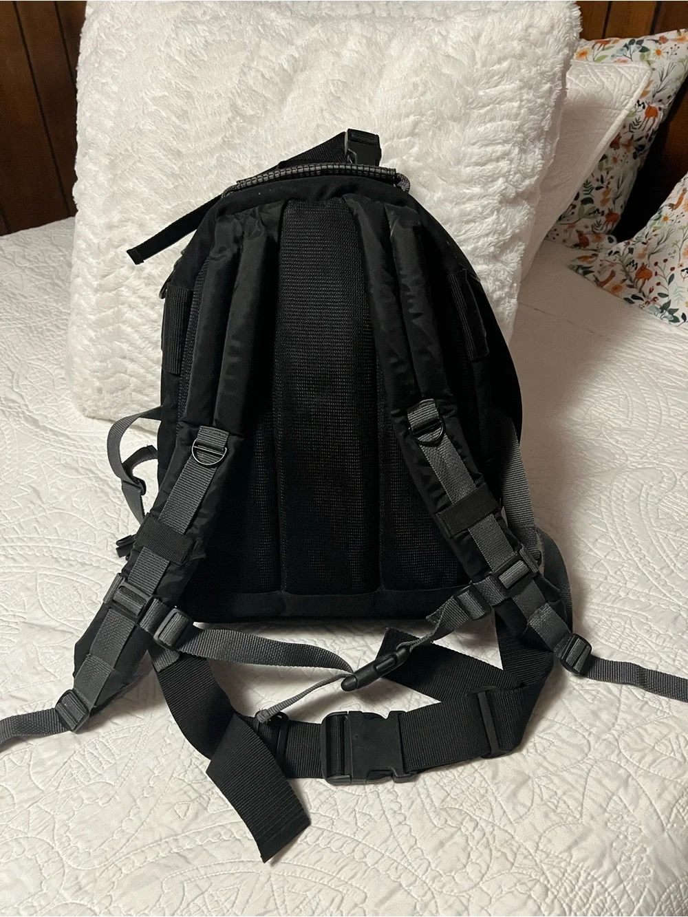 Tamrac expedition backpack